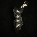 lighter lip case